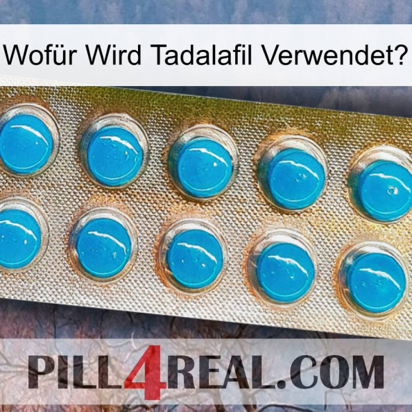 Wofür Wird Tadalafil Verwendet0 new09.jpg